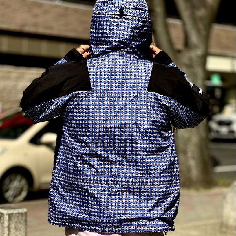 Ｐｒｅｍｉｕｍ Ｌｉｎｅ Supreme TNF Studded Mountain Jacket L 青